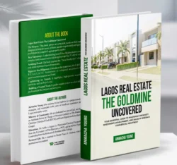 LAGOS REAL ESTATE – THE GOLDMINE UNCOVERED